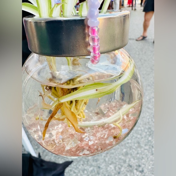 🌸🪴HANDMADE Beaded Propagation Station🪴🌸 - Picture 4 of 4